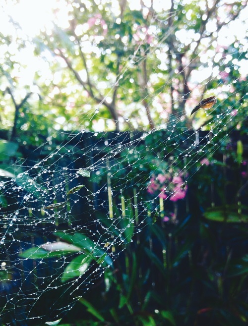 Иллюстрация к книге — Жить не спеша [i_006.jpg]