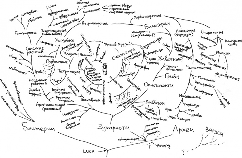 Иллюстрация к книге — Хлопок одной ладонью [i_004.jpg]