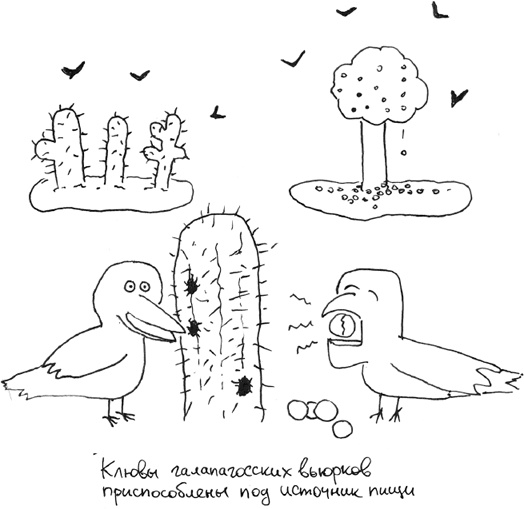 Иллюстрация к книге — Хлопок одной ладонью [i_016.jpg]