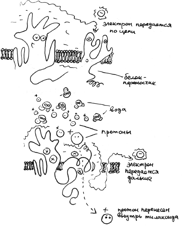 Иллюстрация к книге — Хлопок одной ладонью [i_030.jpg]