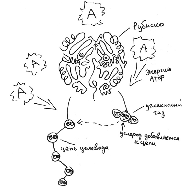 Иллюстрация к книге — Хлопок одной ладонью [i_033.jpg]