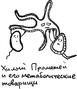 Иллюстрация к книге — Хлопок одной ладонью [i_039.jpg]