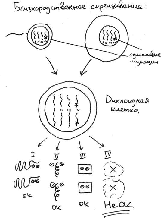 Иллюстрация к книге — Хлопок одной ладонью [i_042.jpg]
