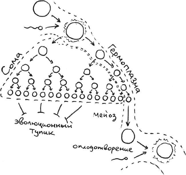 Иллюстрация к книге — Хлопок одной ладонью [i_049.jpg]