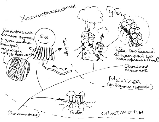 Иллюстрация к книге — Хлопок одной ладонью [i_054.jpg]