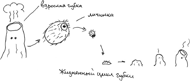 Иллюстрация к книге — Хлопок одной ладонью [i_055.jpg]