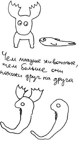 Иллюстрация к книге — Хлопок одной ладонью [i_056.jpg]