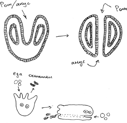 Иллюстрация к книге — Хлопок одной ладонью [i_063.jpg]