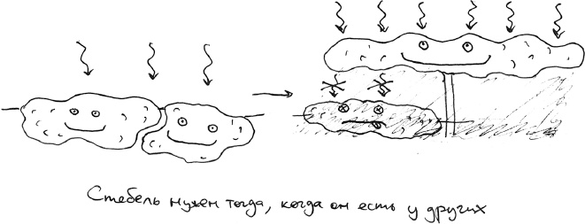 Иллюстрация к книге — Хлопок одной ладонью [i_067.jpg]