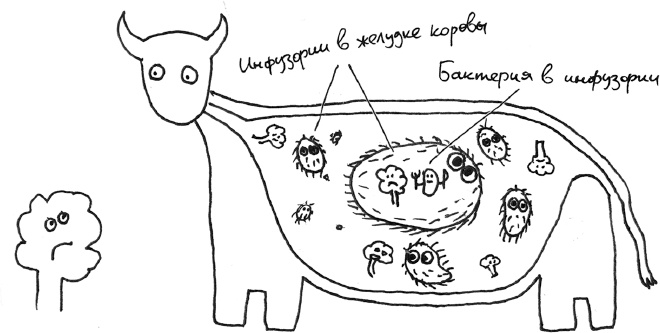 Иллюстрация к книге — Хлопок одной ладонью [i_080.jpg]