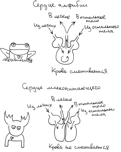 Иллюстрация к книге — Хлопок одной ладонью [i_082.jpg]