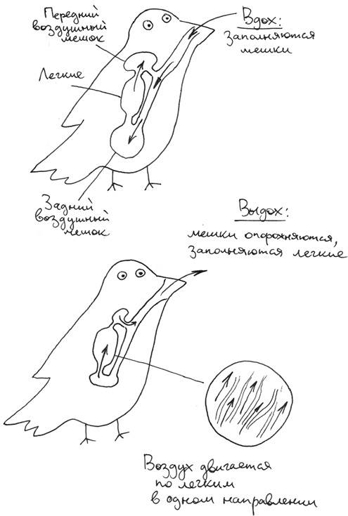 Иллюстрация к книге — Хлопок одной ладонью [i_083.jpg]