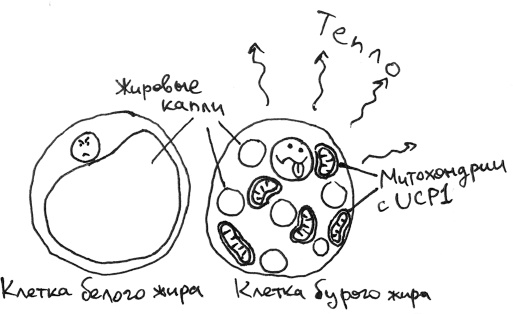Иллюстрация к книге — Хлопок одной ладонью [i_085.jpg]