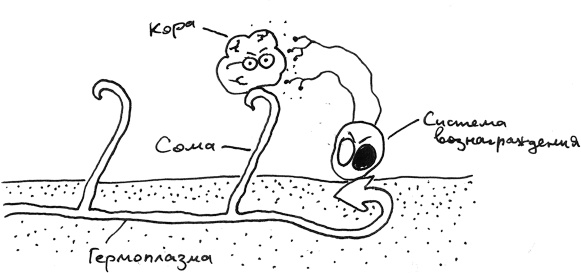 Иллюстрация к книге — Хлопок одной ладонью [i_133.jpg]