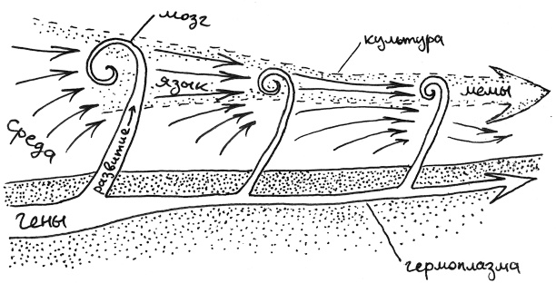 Иллюстрация к книге — Хлопок одной ладонью [i_143.jpg]