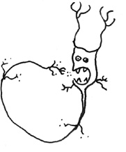 Иллюстрация к книге — Хлопок одной ладонью [i_144.jpg]