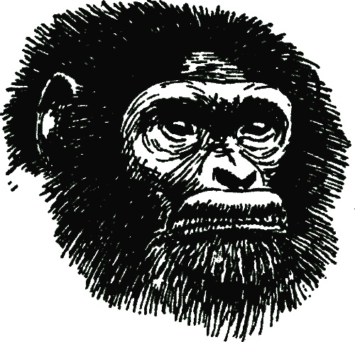 Иллюстрация к книге — В тени человека [i_002.jpg]