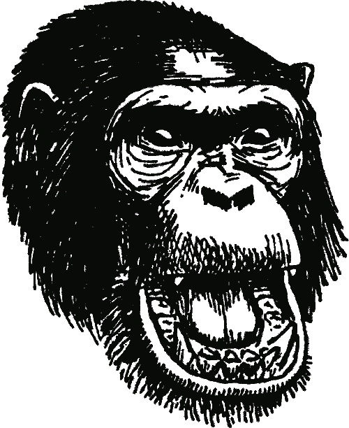 Иллюстрация к книге — В тени человека [i_003.jpg]