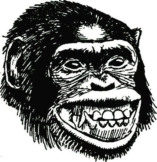 Иллюстрация к книге — В тени человека [i_007.jpg]