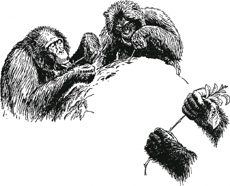 Иллюстрация к книге — В тени человека [i_011.jpg]