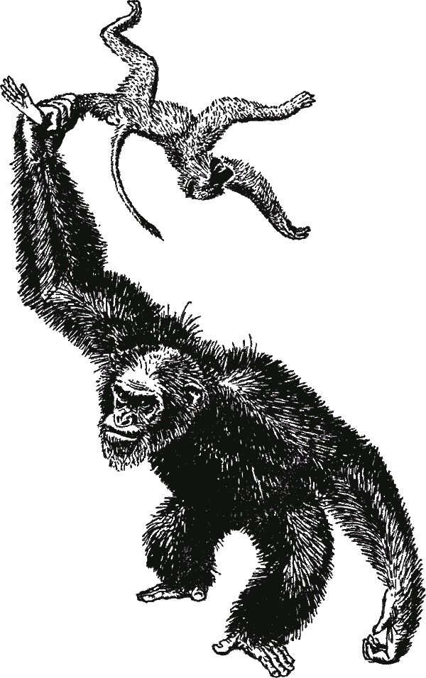 Иллюстрация к книге — В тени человека [i_014.jpg]