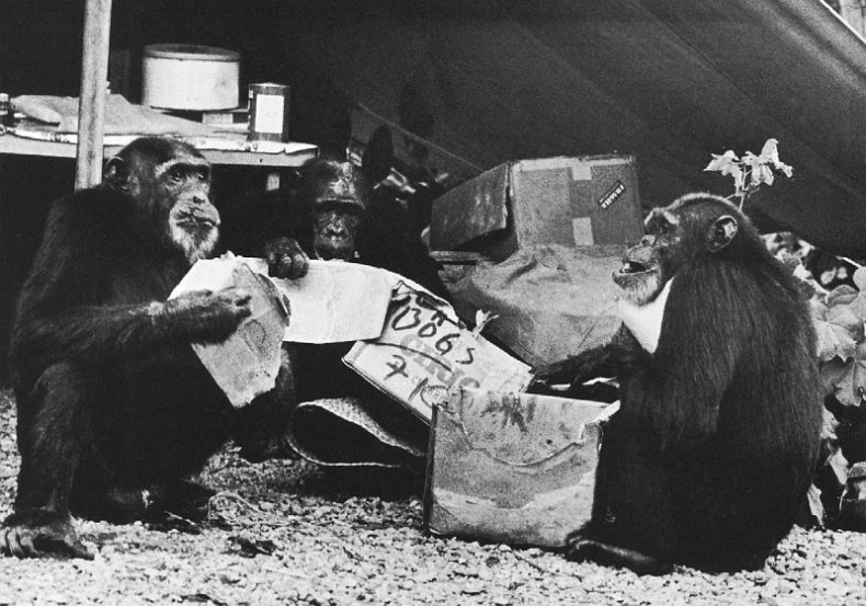 Иллюстрация к книге — В тени человека [i_022.jpg]