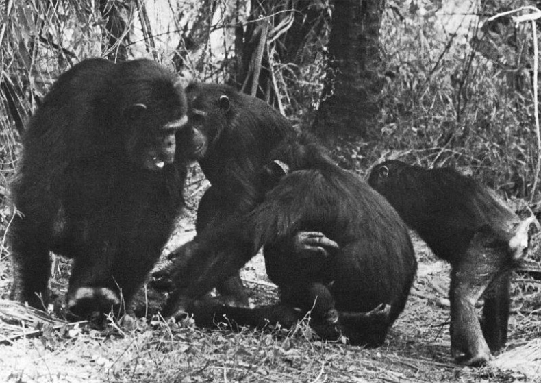 Иллюстрация к книге — В тени человека [i_026.jpg]