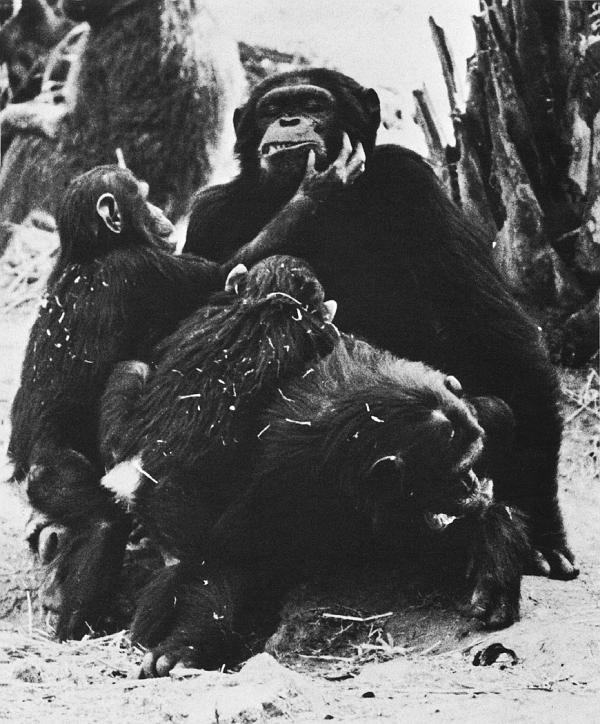 Иллюстрация к книге — В тени человека [i_030.jpg]