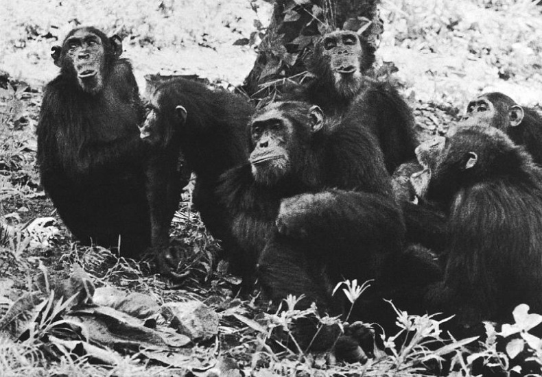 Иллюстрация к книге — В тени человека [i_034.jpg]