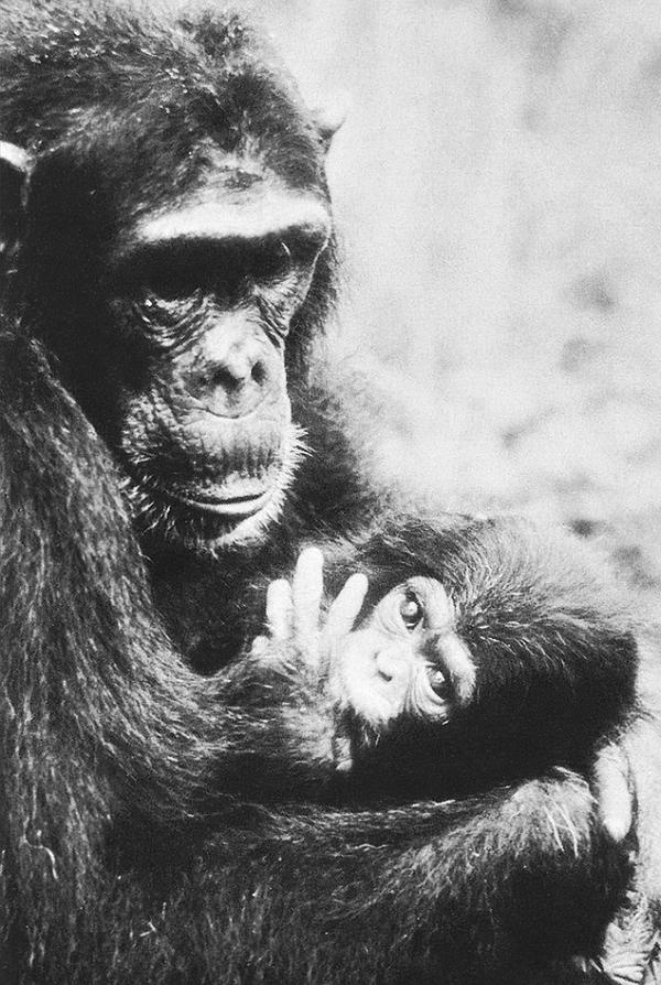 Иллюстрация к книге — В тени человека [i_041.jpg]