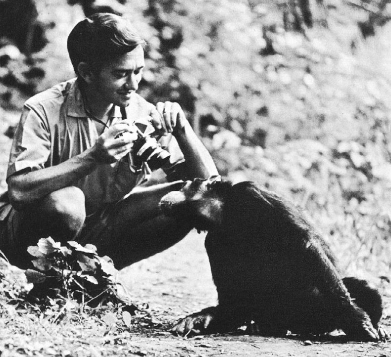 Иллюстрация к книге — В тени человека [i_046.jpg]