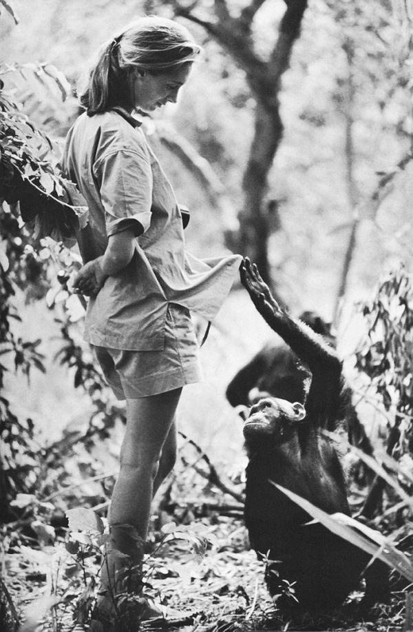 Иллюстрация к книге — В тени человека [i_047.jpg]