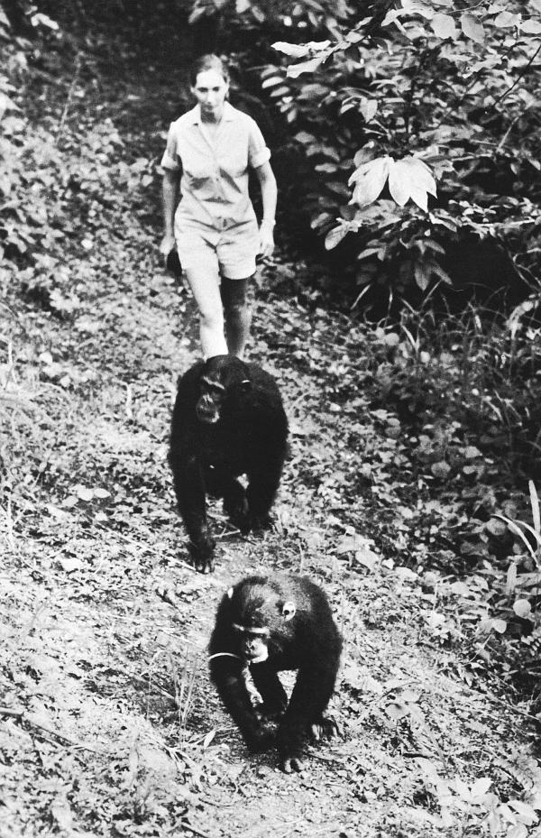 Иллюстрация к книге — В тени человека [i_048.jpg]