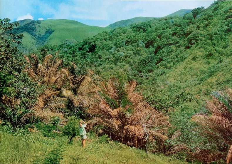 Иллюстрация к книге — В тени человека [i_050.jpg]