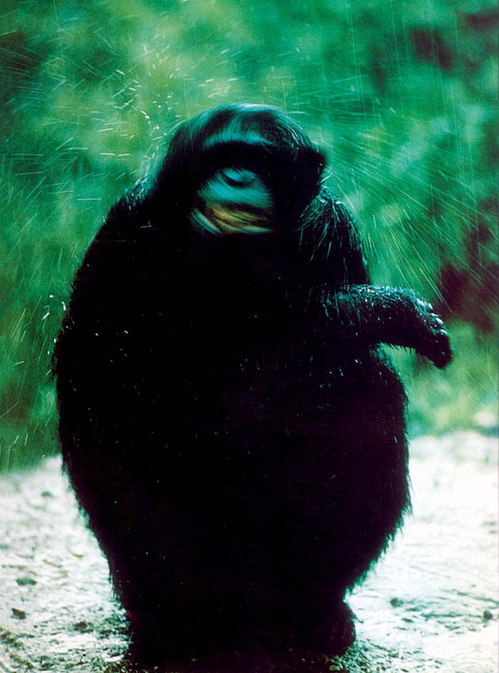 Иллюстрация к книге — В тени человека [i_053.jpg]