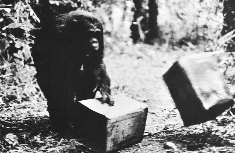 Иллюстрация к книге — В тени человека [i_066.jpg]