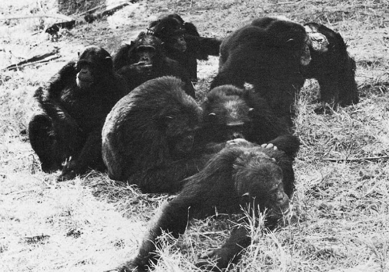 Иллюстрация к книге — В тени человека [i_068.jpg]