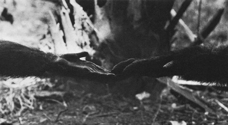 Иллюстрация к книге — В тени человека [i_081.jpg]