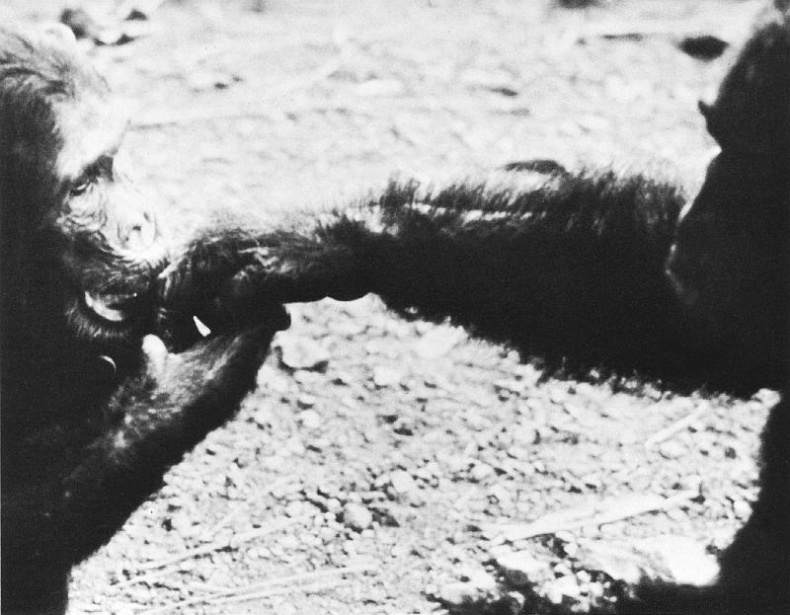 Иллюстрация к книге — В тени человека [i_082.jpg]