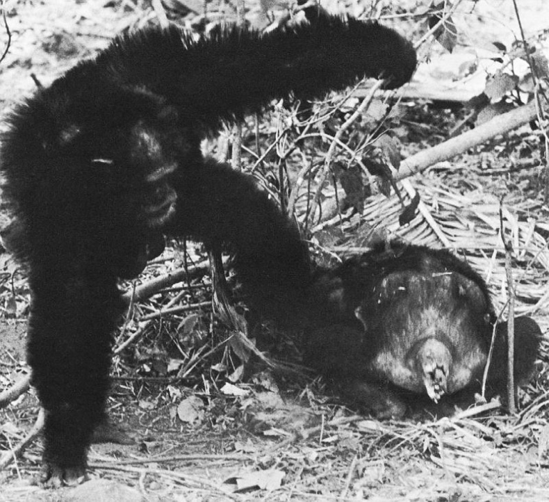 Иллюстрация к книге — В тени человека [i_086.jpg]