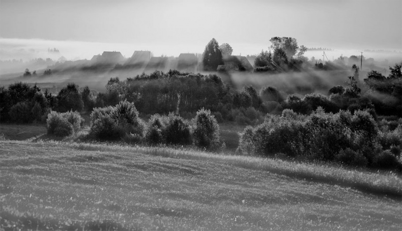 Иллюстрация к книге — Битов, или Новые сведения о человеке [i_091.jpg]