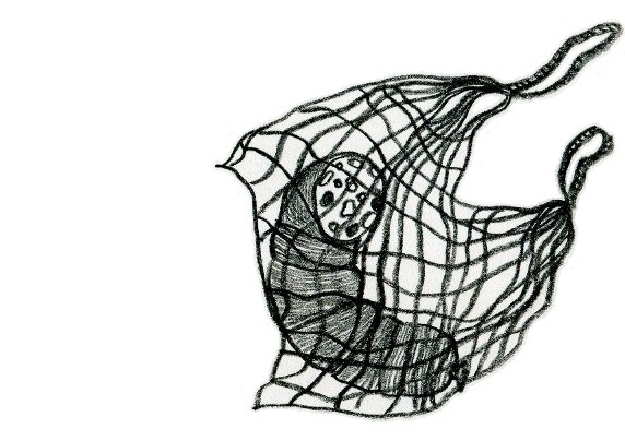 Иллюстрация к книге — Зимняя и летняя форма надежды [_15.jpg]