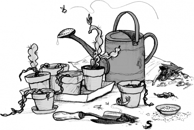 Иллюстрация к книге — Мальчик, который летал с драконами [i_029.jpg]