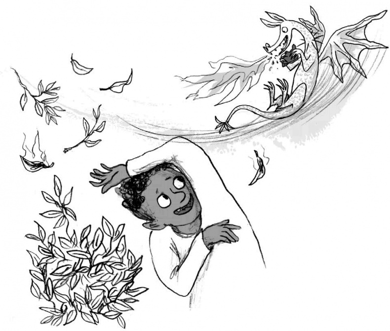 Иллюстрация к книге — Мальчик, который летал с драконами [i_036.jpg]