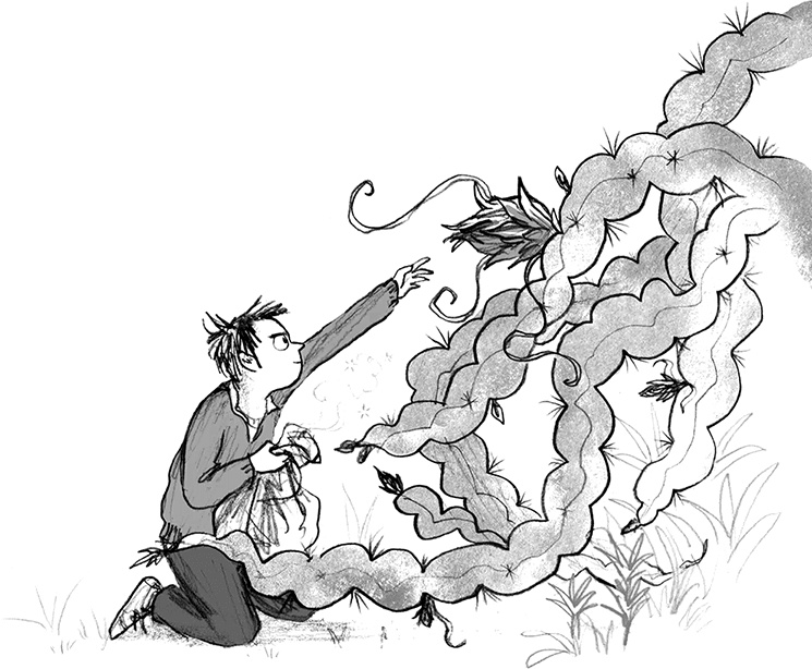 Иллюстрация к книге — Мальчик, который летал с драконами [i_049.jpg]