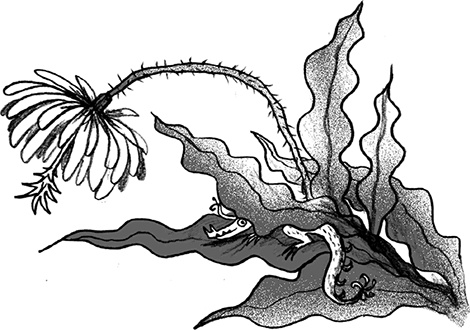 Иллюстрация к книге — Мальчик, который летал с драконами [i_052.jpg]