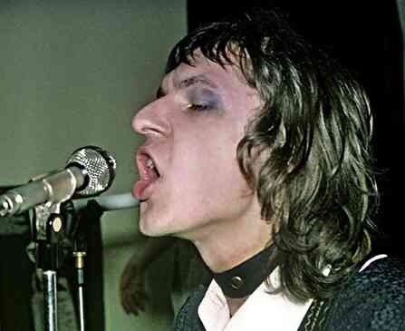 Иллюстрация к книге — Майк Науменко. Бегство из зоопарка [i_030.jpg]