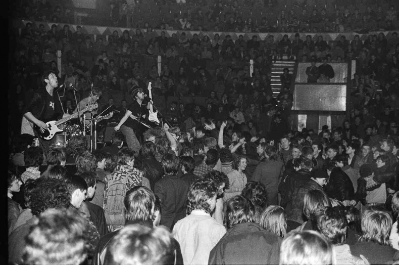 Иллюстрация к книге — Майк Науменко. Бегство из зоопарка [i_187.jpg]