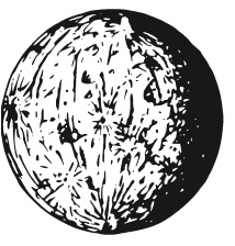 Иллюстрация к книге — Делай космос! [i_045.jpg]