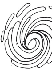 Иллюстрация к книге — Делай космос! [i_051.jpg]